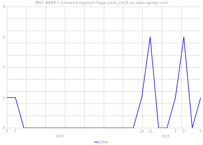 ERIC BIERRY (United Kingdom) Page visits 2024 