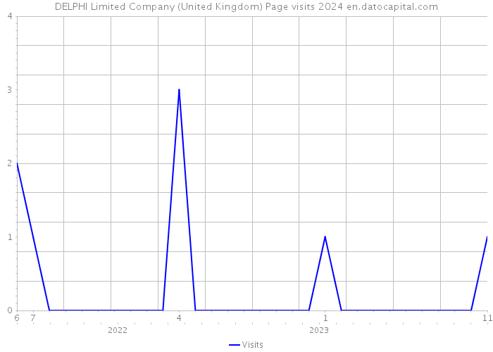 DELPHI Limited Company (United Kingdom) Page visits 2024 