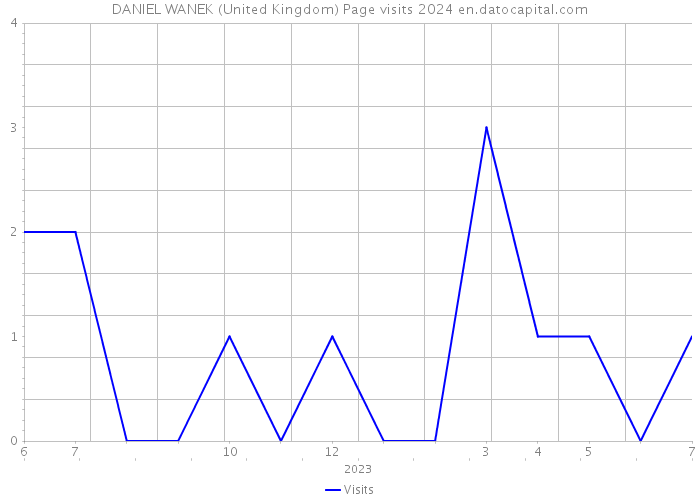 DANIEL WANEK (United Kingdom) Page visits 2024 