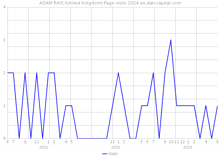 ADAM RAIS (United Kingdom) Page visits 2024 