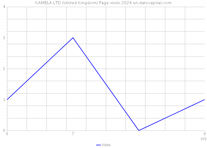 KAMELA LTD (United Kingdom) Page visits 2024 