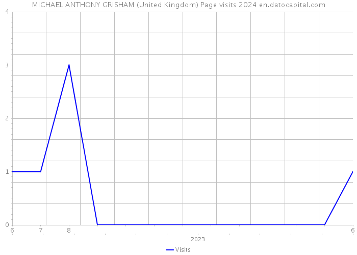MICHAEL ANTHONY GRISHAM (United Kingdom) Page visits 2024 