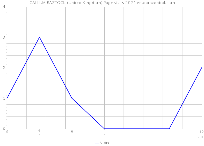 CALLUM BASTOCK (United Kingdom) Page visits 2024 