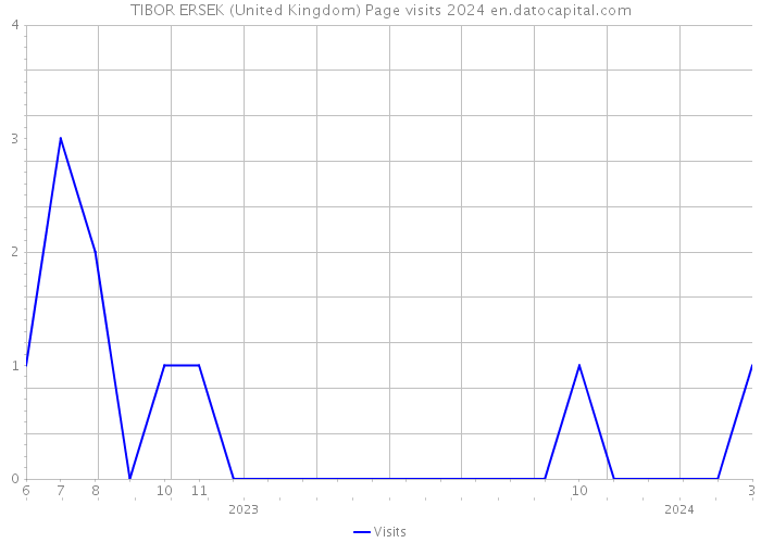 TIBOR ERSEK (United Kingdom) Page visits 2024 