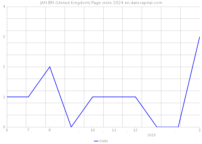 JAN ERI (United Kingdom) Page visits 2024 