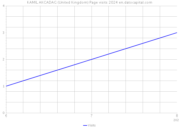 KAMIL AKCADAG (United Kingdom) Page visits 2024 