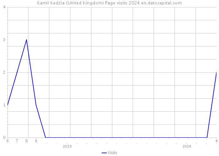 Kamil Kedzia (United Kingdom) Page visits 2024 