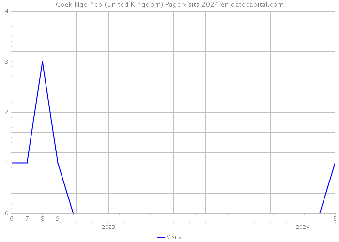 Goek Ngo Yeo (United Kingdom) Page visits 2024 