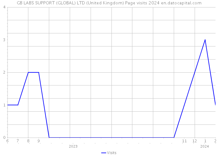 GB LABS SUPPORT (GLOBAL) LTD (United Kingdom) Page visits 2024 