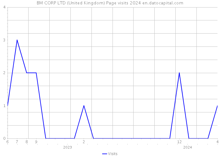 BM CORP LTD (United Kingdom) Page visits 2024 