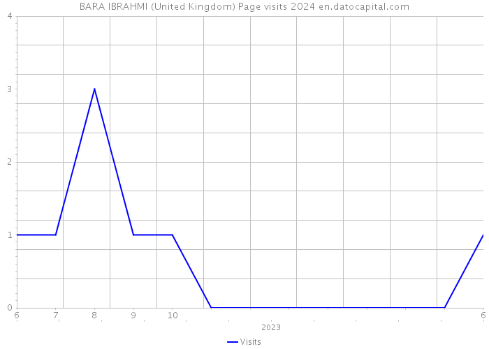 BARA IBRAHMI (United Kingdom) Page visits 2024 