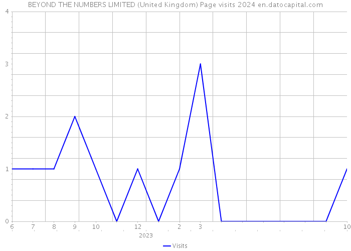 BEYOND THE NUMBERS LIMITED (United Kingdom) Page visits 2024 