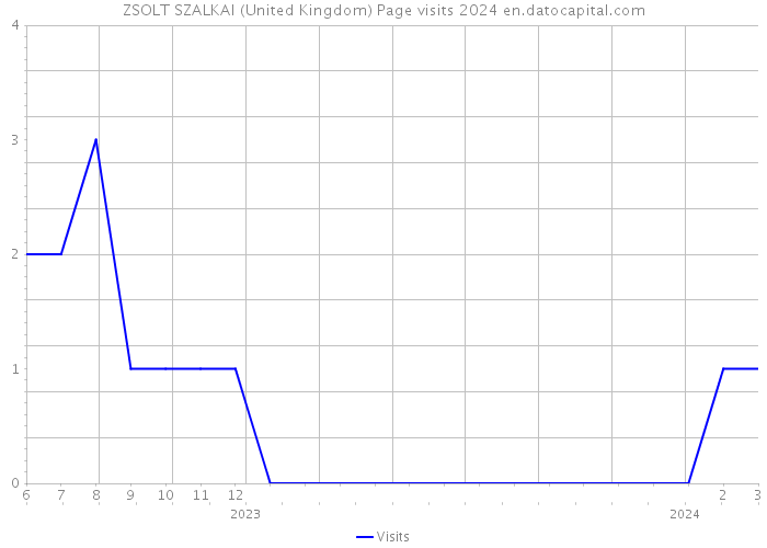 ZSOLT SZALKAI (United Kingdom) Page visits 2024 