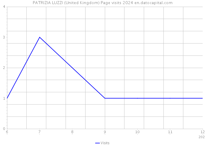 PATRIZIA LUZZI (United Kingdom) Page visits 2024 