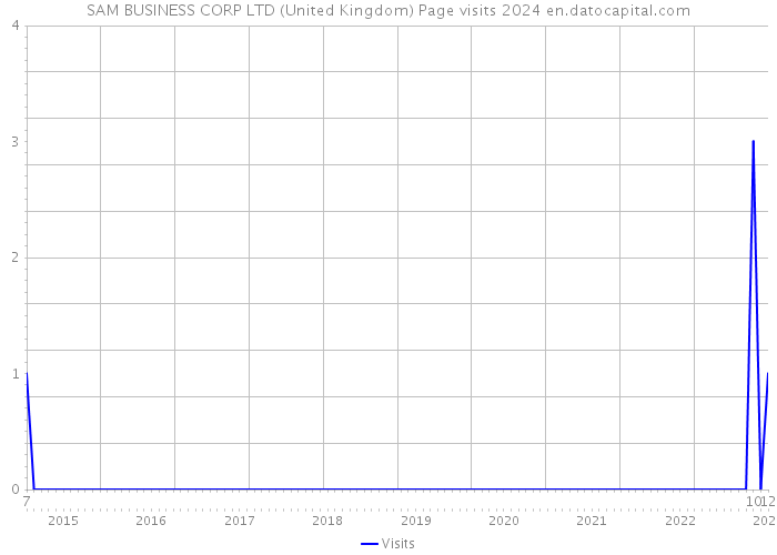 SAM BUSINESS CORP LTD (United Kingdom) Page visits 2024 