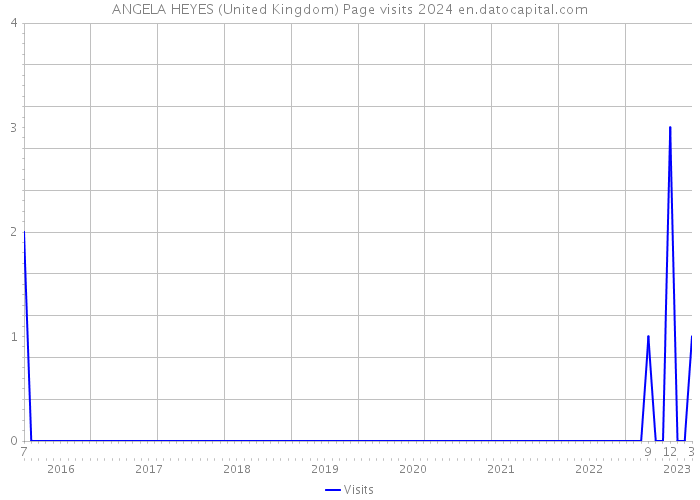 ANGELA HEYES (United Kingdom) Page visits 2024 
