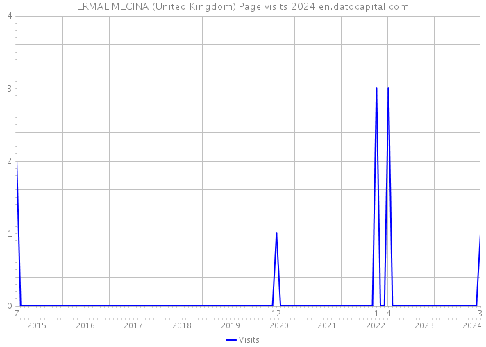 ERMAL MECINA (United Kingdom) Page visits 2024 