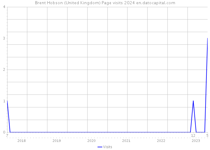 Brent Hobson (United Kingdom) Page visits 2024 