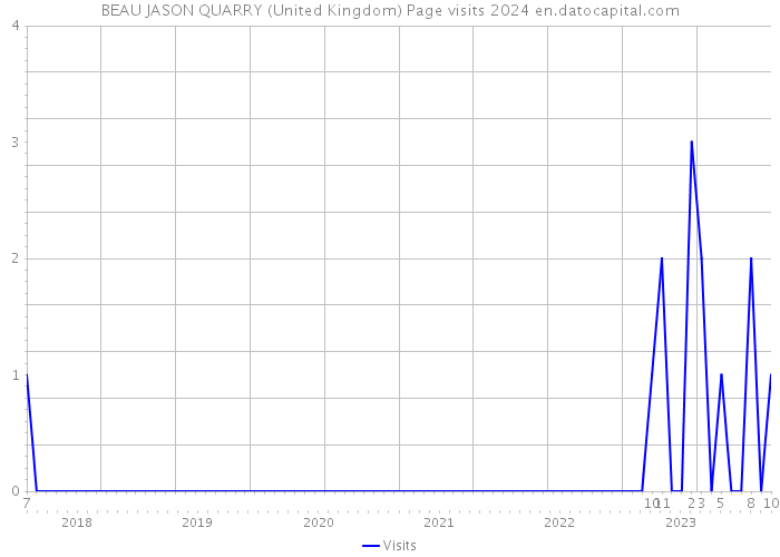 BEAU JASON QUARRY (United Kingdom) Page visits 2024 