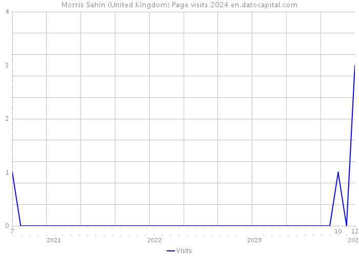 Morris Sahin (United Kingdom) Page visits 2024 