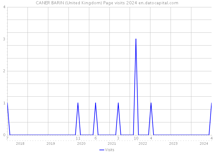 CANER BARIN (United Kingdom) Page visits 2024 