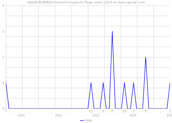 ADAM BURMAN (United Kingdom) Page visits 2024 