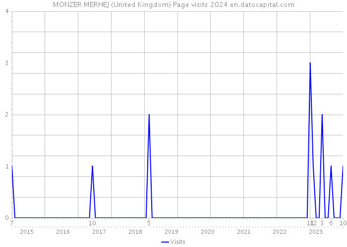MONZER MERHEJ (United Kingdom) Page visits 2024 