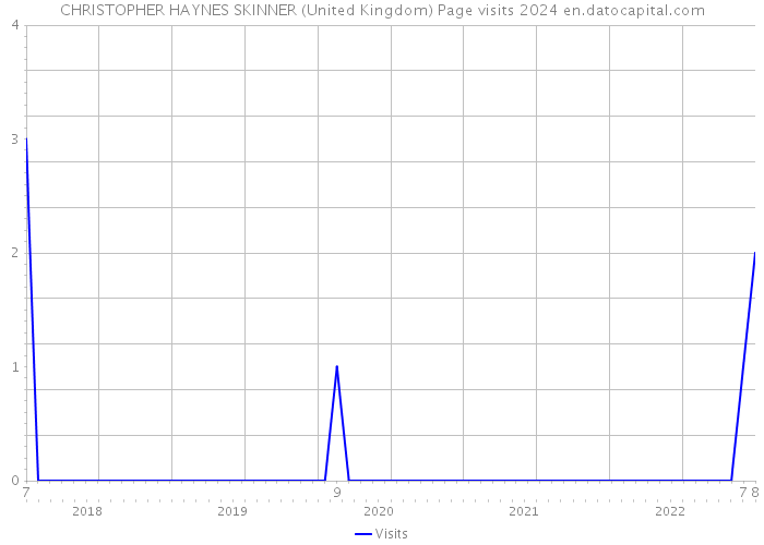 CHRISTOPHER HAYNES SKINNER (United Kingdom) Page visits 2024 