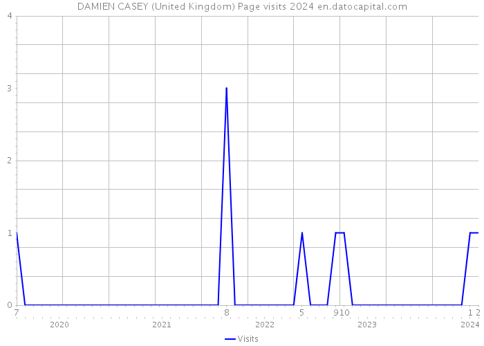 DAMIEN CASEY (United Kingdom) Page visits 2024 