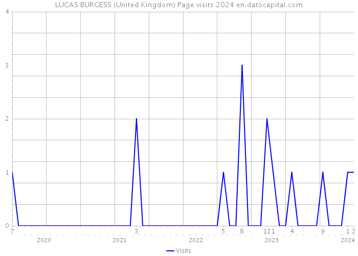 LUCAS BURGESS (United Kingdom) Page visits 2024 