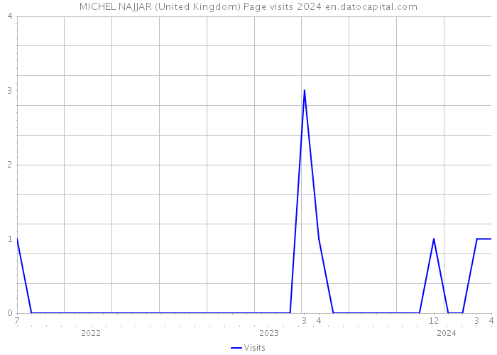 MICHEL NAJJAR (United Kingdom) Page visits 2024 