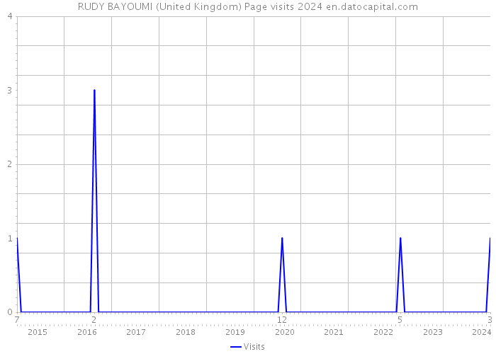 RUDY BAYOUMI (United Kingdom) Page visits 2024 