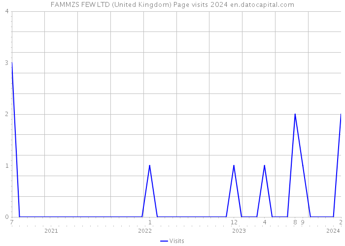 FAMMZS FEW LTD (United Kingdom) Page visits 2024 