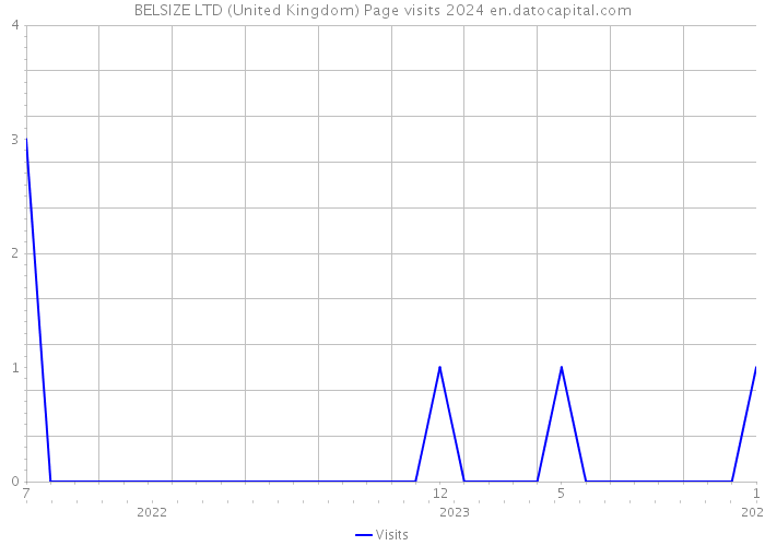 BELSIZE LTD (United Kingdom) Page visits 2024 