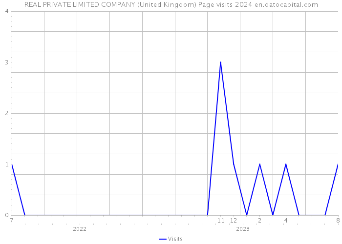 REAL PRIVATE LIMITED COMPANY (United Kingdom) Page visits 2024 