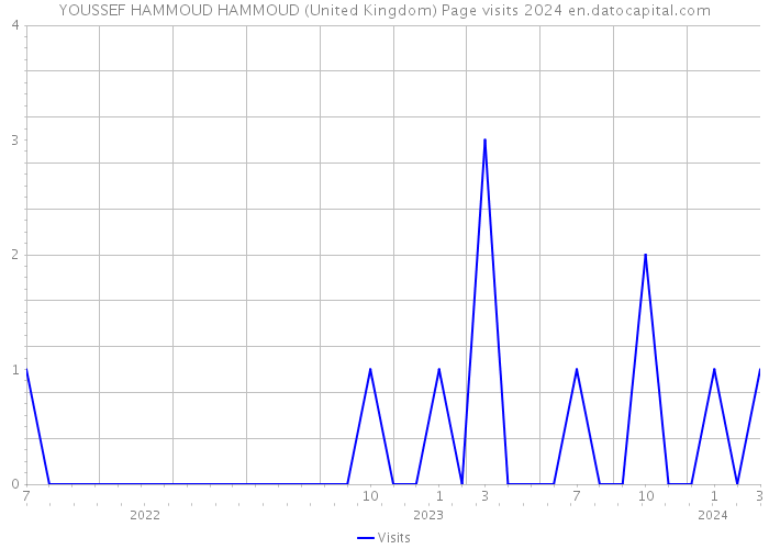 YOUSSEF HAMMOUD HAMMOUD (United Kingdom) Page visits 2024 