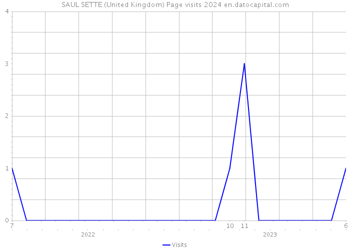 SAUL SETTE (United Kingdom) Page visits 2024 