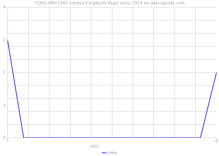 YONG MIN CHO (United Kingdom) Page visits 2024 