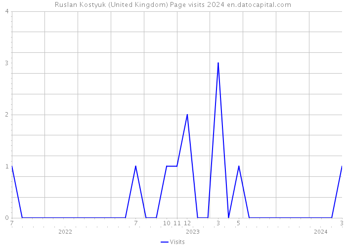 Ruslan Kostyuk (United Kingdom) Page visits 2024 