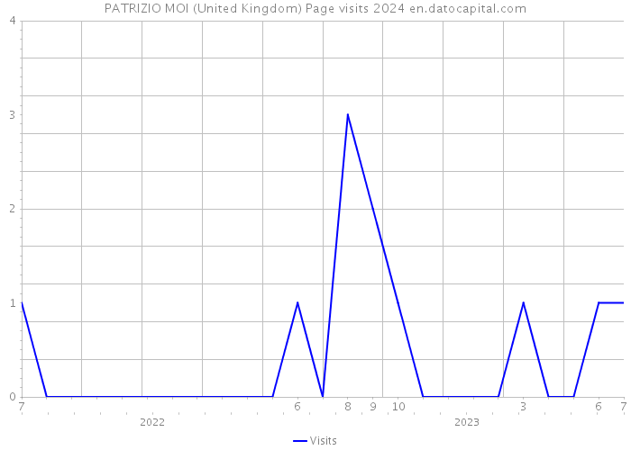 PATRIZIO MOI (United Kingdom) Page visits 2024 
