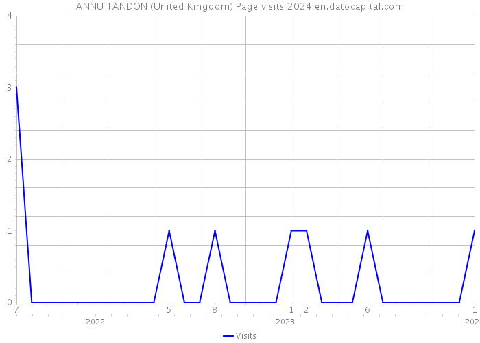ANNU TANDON (United Kingdom) Page visits 2024 