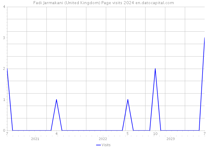 Fadi Jarmakani (United Kingdom) Page visits 2024 