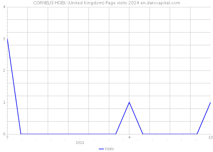 CORNELIS HOEK (United Kingdom) Page visits 2024 