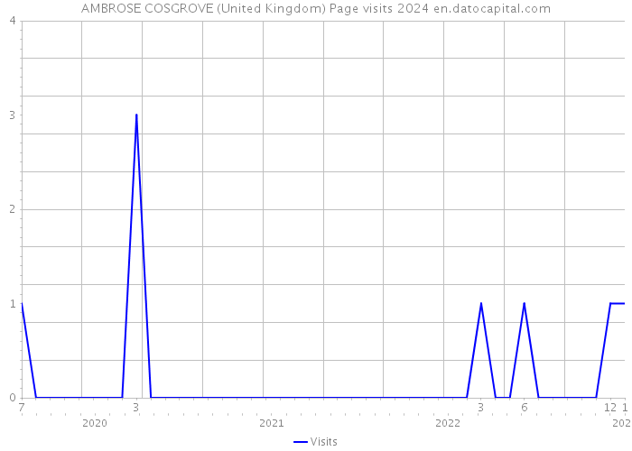 AMBROSE COSGROVE (United Kingdom) Page visits 2024 