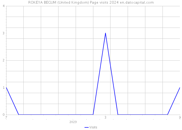 ROKEYA BEGUM (United Kingdom) Page visits 2024 