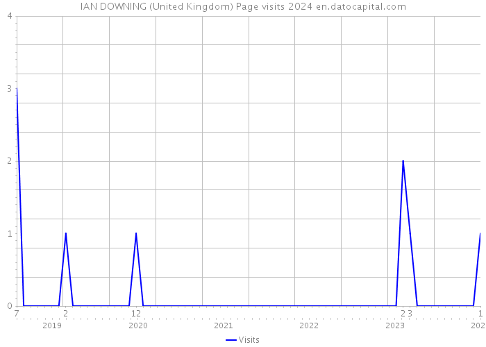 IAN DOWNING (United Kingdom) Page visits 2024 