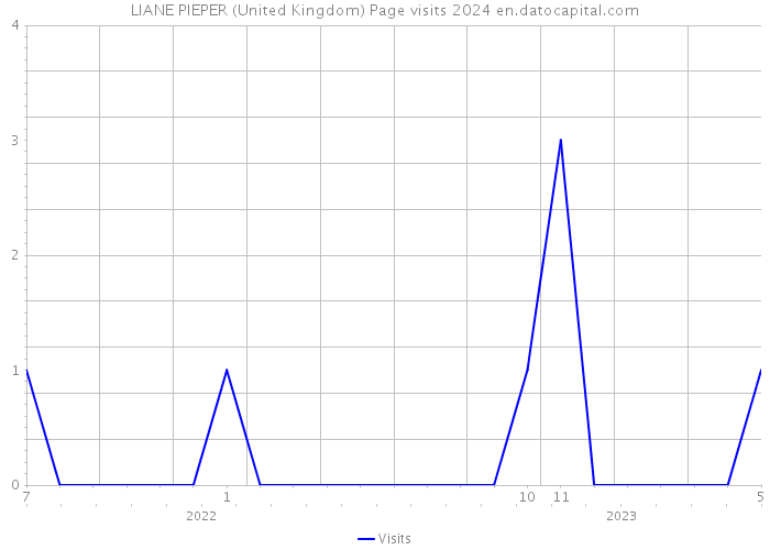 LIANE PIEPER (United Kingdom) Page visits 2024 
