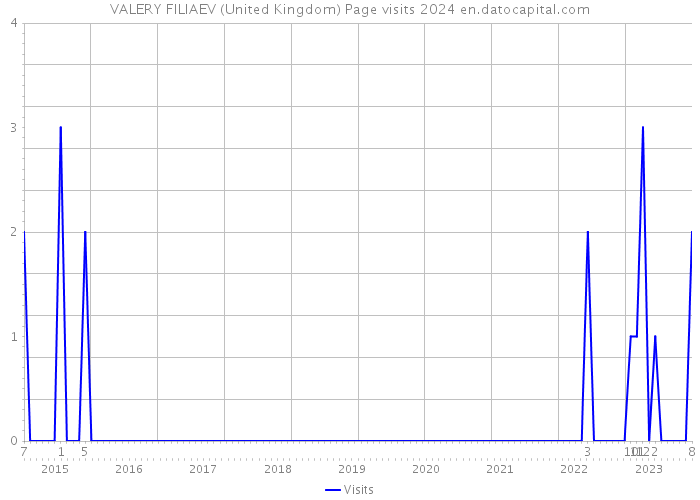 VALERY FILIAEV (United Kingdom) Page visits 2024 