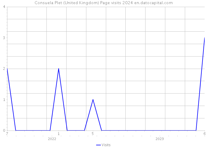 Consuela Plet (United Kingdom) Page visits 2024 
