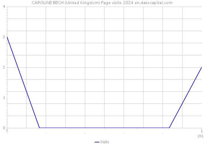CAROLINE BECH (United Kingdom) Page visits 2024 